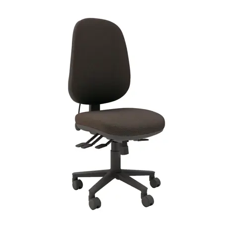 Multi-functional High Back Task Chair - Black Base - No Arms - Ralstone